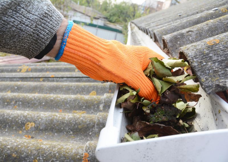 Gutter Leaf Clearing in Baltimore, MD
